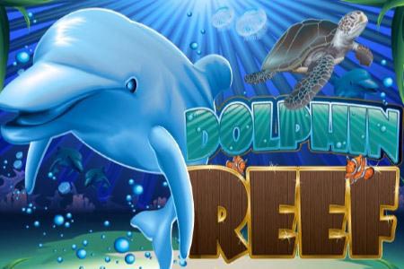 Dolphin Reef